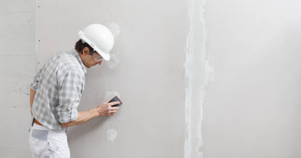 Best Water-Damaged Drywall Repair  in South Pekin, IL